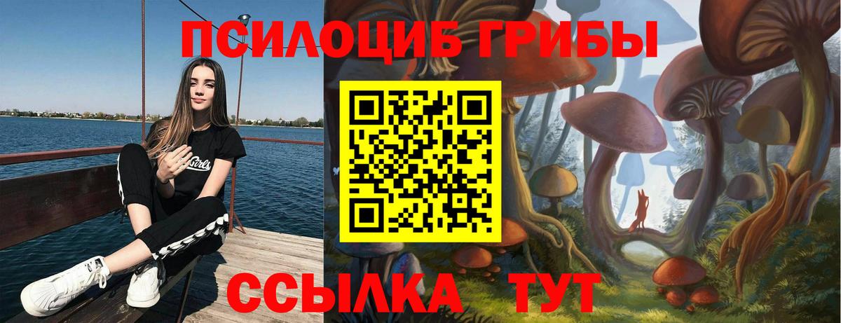 Псилоцибиновые грибы Psilocybe Соликамск